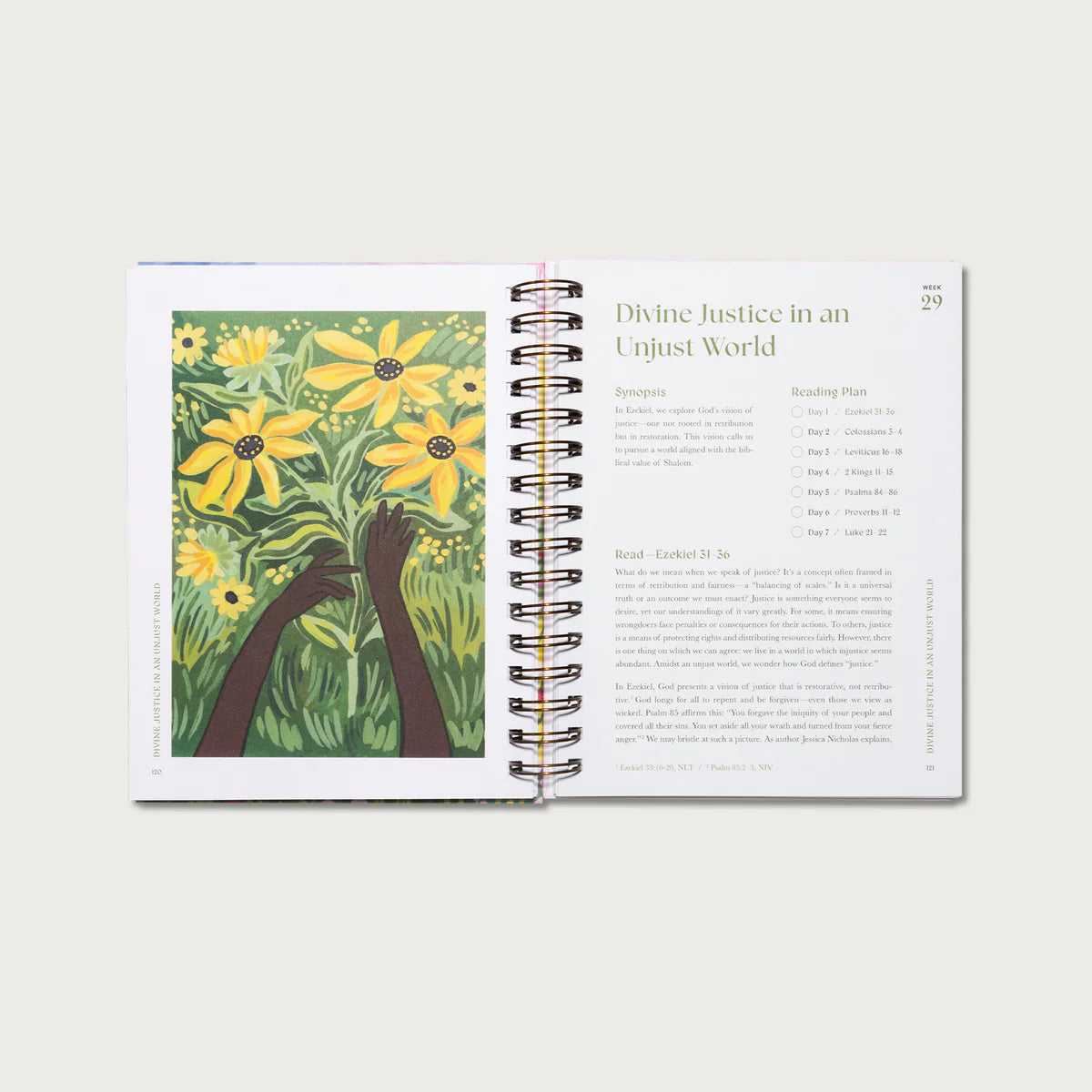 A Year of Devine Grace