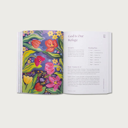 A Year of Devine Grace